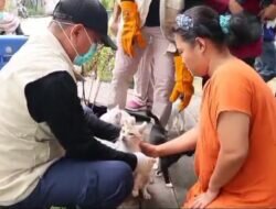 Pengambilan Sampel Darah HPR Pasca Vaksin Rabies di Lokbakung