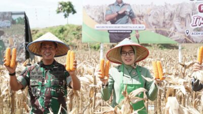 Situasi Elnino, Program I’M Jagong yang diprakarsai Pangdam IM Sukses Panen Perdana